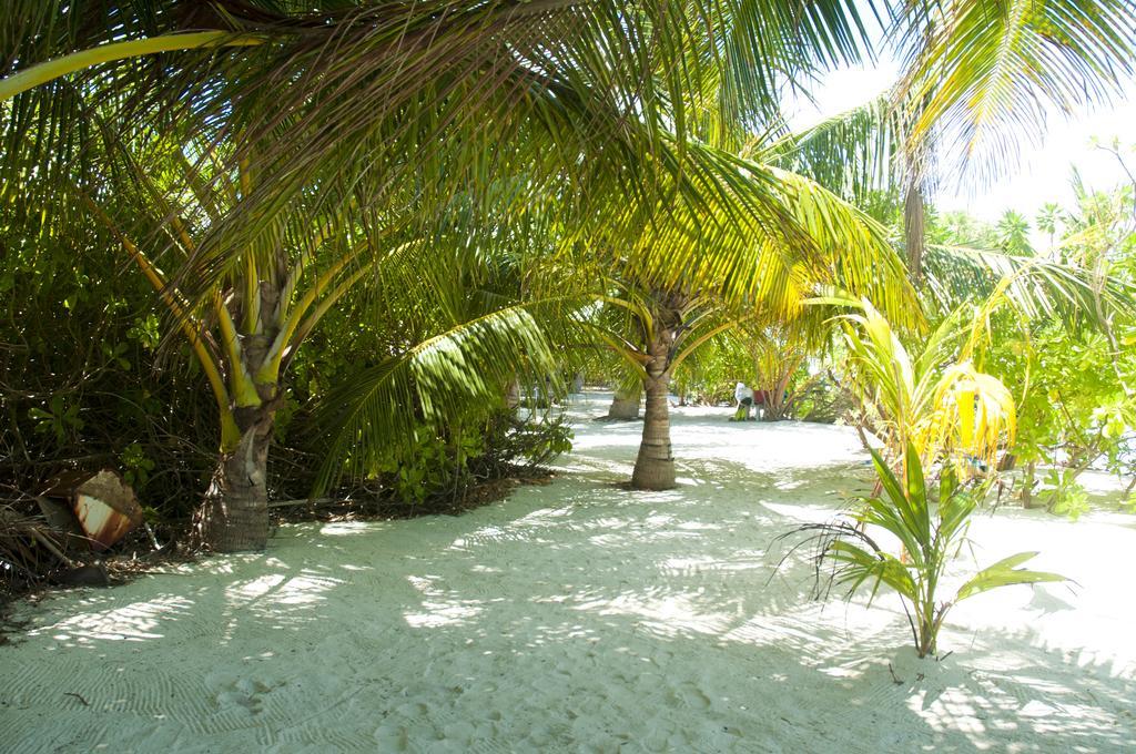 Palm Garden Hotel Thoddoo Exterior foto